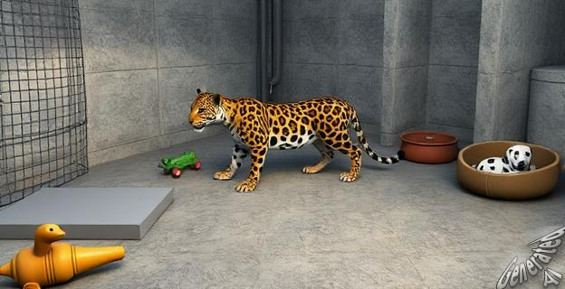 El tráfico de felinos silvestres para convertirlos en mascotas exóticas condena a estos animales a una vida de sufrimiento y a los ecosistemas a perder a sus depredadores más importantes