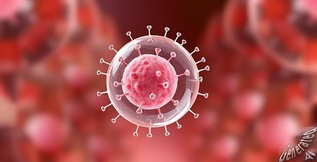 Sukunaarchaeum, una arquea con genoma de 238.000 pares de bases