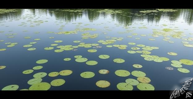 El oxígeno en los lagos