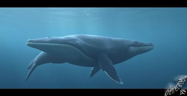 La población de ballenas francas del Atlántico Norte ha crecido a 384 individuos