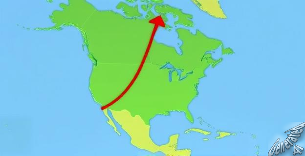 La caída de turistas canadienses hacia EE. UU. se debe a un rechazo internacional a las políticas de Donald Trump