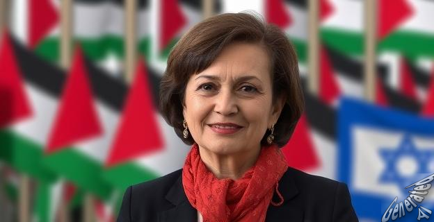Los contratos de armamento con Israel deben ser revocados debido a la situación en Gaza