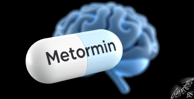 La metformina actúa en el cerebro, no solo en el hígado