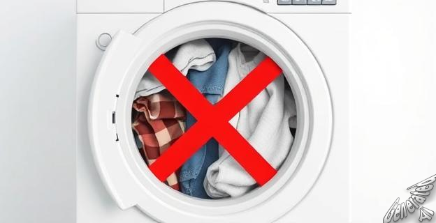 Sobrecargar la lavadora reduce la eficacia del lavado y puede provocar el desgaste prematuro del tambor y el motor