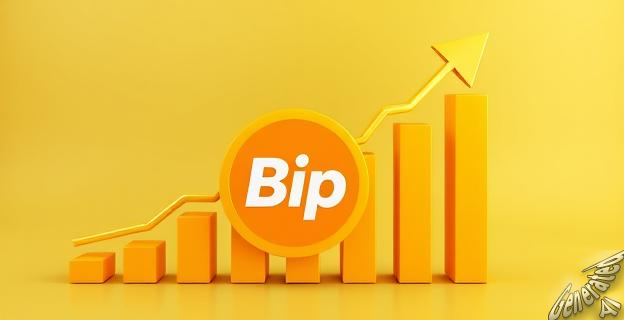 Bip prevé alcanzar 500 trabajadores en España a fin de año