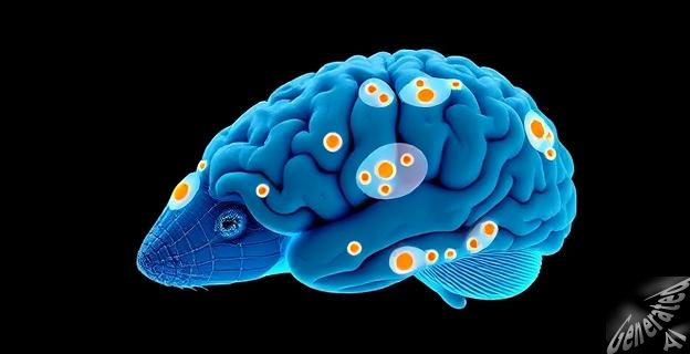 El modelo CellTransformer ha identificado más de 1.300 regiones y subregiones en el cerebro del ratón