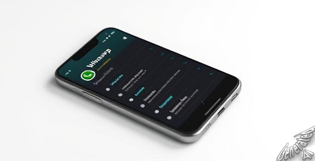 Abre WhatsApp > Ajustes > Almacenamiento y datos > Administra el almacenamiento