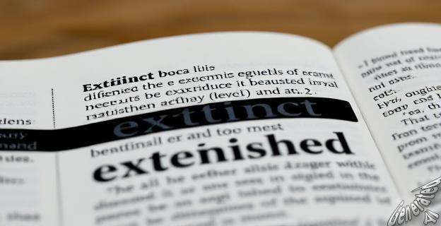 Extinto describe el estado final, mientras que extinguido indica la acción de extinguir