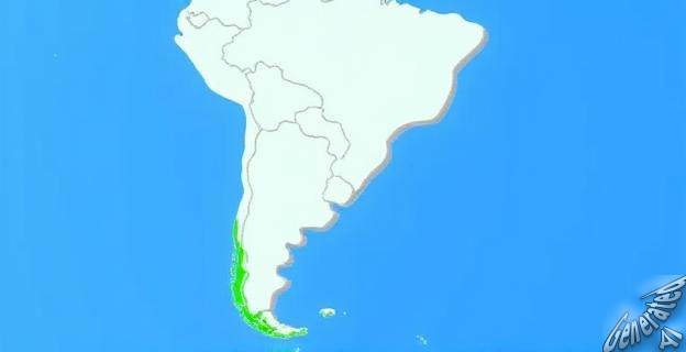 Chile y Uruguay serían los países más preparados para mantenerse en pie