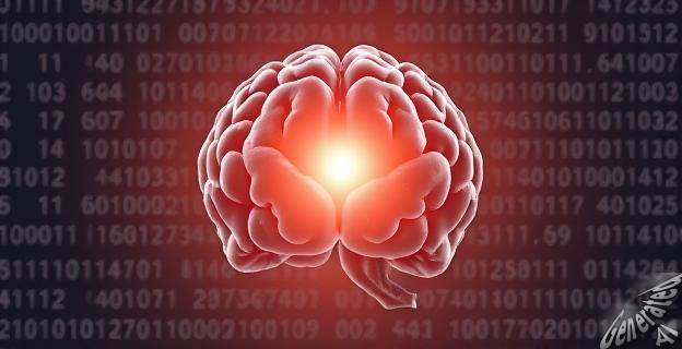 La técnica Stereo-seq V2 podría descifrar qué genes se expresaban en las neuronas de Einstein