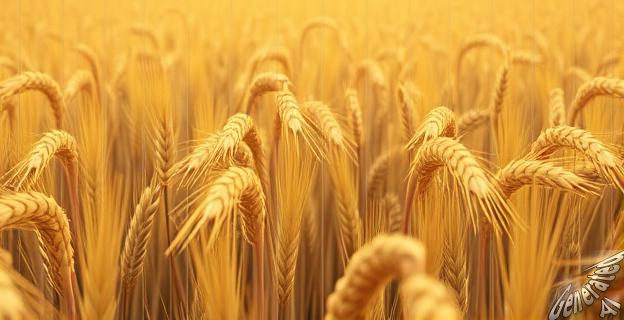 Los precios han caído debido a la recuperación de la producción y la falta de demanda